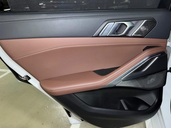 BMW X6 19
