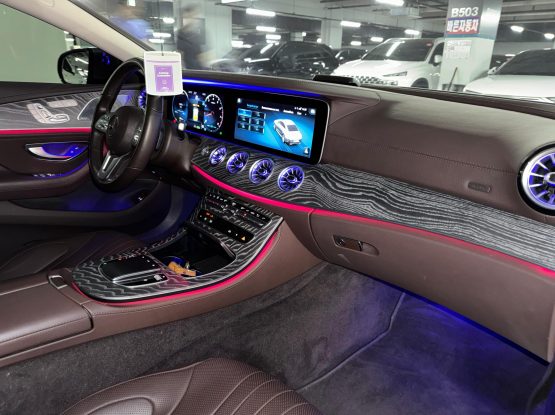 Mercedes Benz CLS450 13