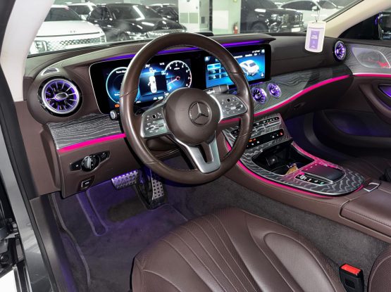 Mercedes Benz CLS450 20