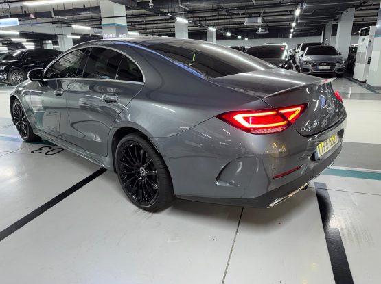 Mercedes Benz CLS450 5