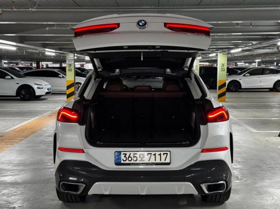 BMW X6 16800 (10)