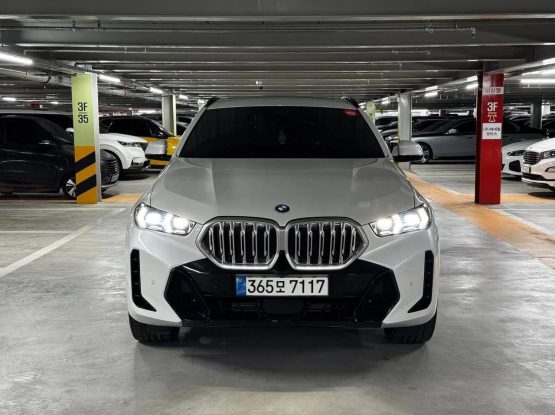 BMW X6 16800 (11)