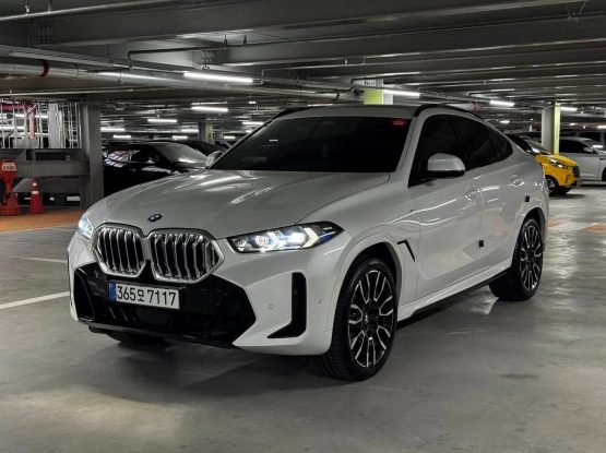 BMW X6 16800 (5)