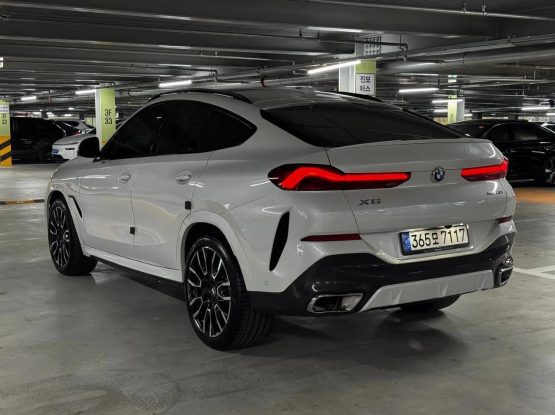 BMW X6 16800 (6)