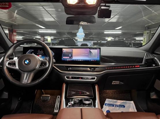 BMW X6 16800 (8)