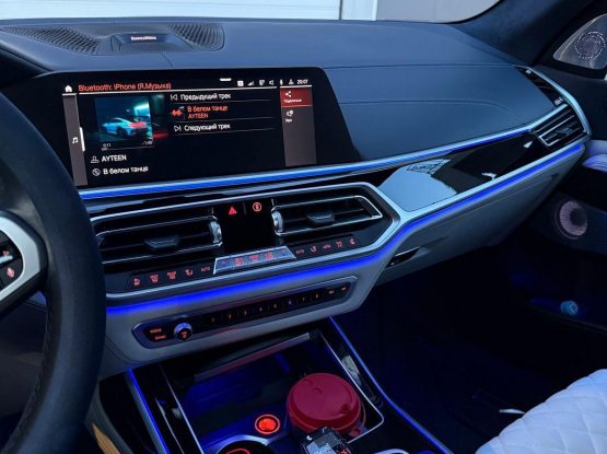 BMW X7 (2)