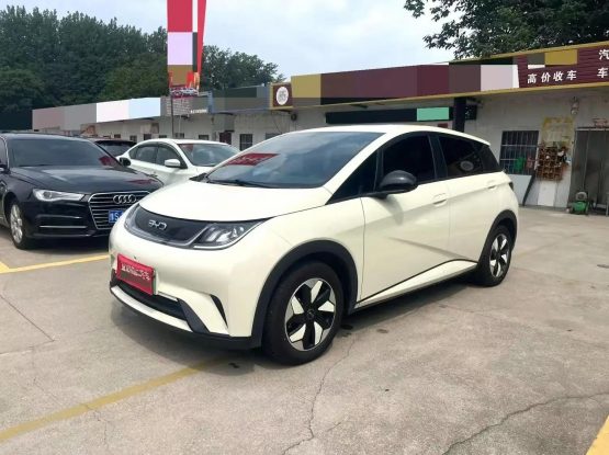 BYD Dolphin 3000 (1)