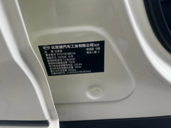 BYD Dolphin 3000 (2)