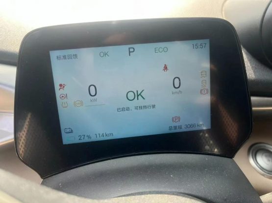 BYD Dolphin 3000 (3)