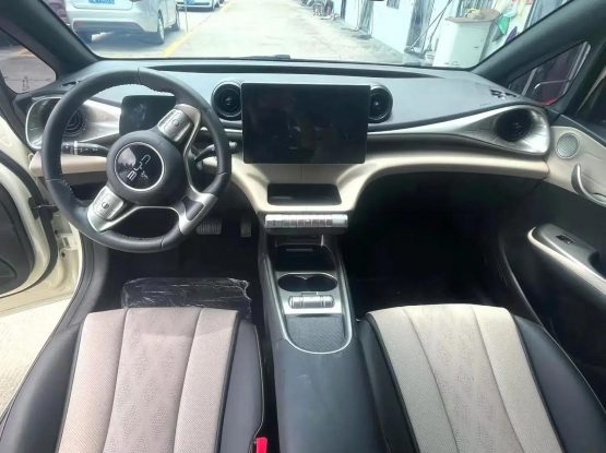 BYD Dolphin 3000 (4)