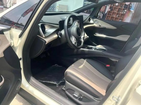 BYD Dolphin 3000 (6)