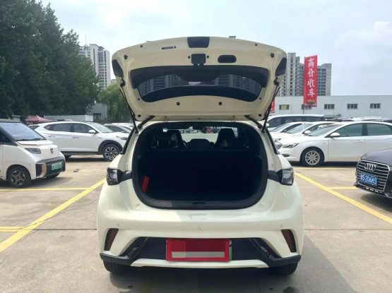 BYD Dolphin 3000 (7)