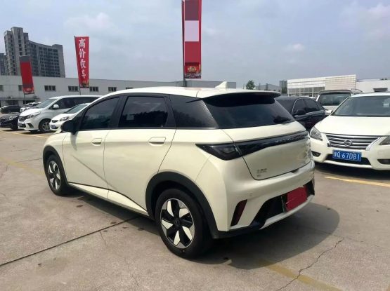 BYD Dolphin 3000 (8)