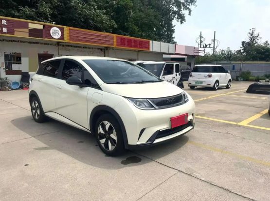 BYD Dolphin 3000 (9)