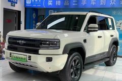 BYD FangChengBao Leopard 5 (1)