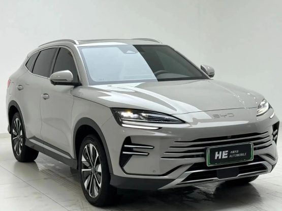 BYD Song Plus New Energy 22000 (1)