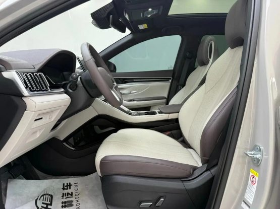 BYD Song Plus New Energy 22000 (2)