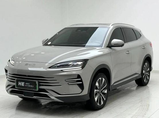 BYD Song Plus New Energy 22000 (3)