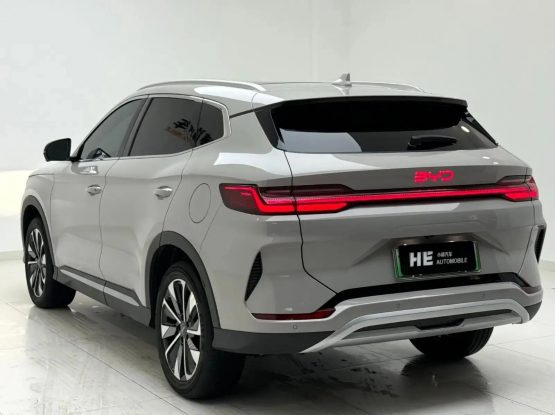 BYD Song Plus New Energy 22000 (5)