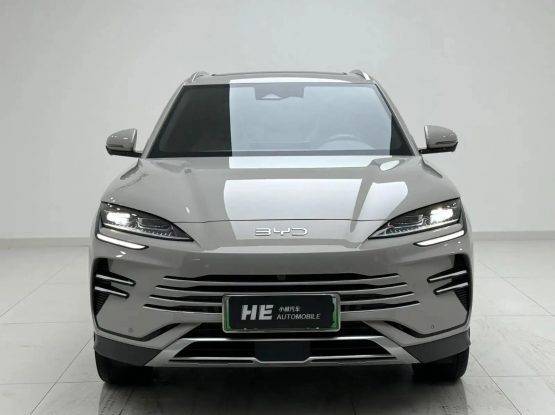 BYD Song Plus New Energy 22000 (6)