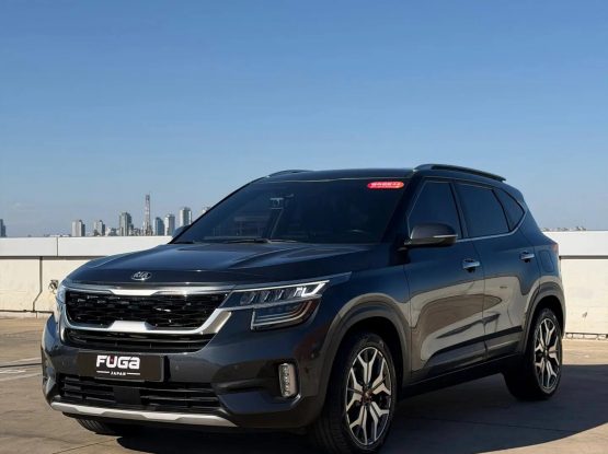 Kia Seltos (2)