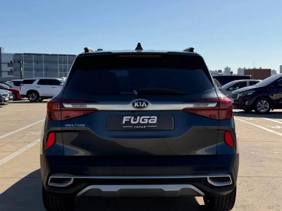 Kia Seltos (3)