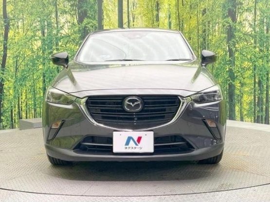Mazda CX-3 53000 (9)