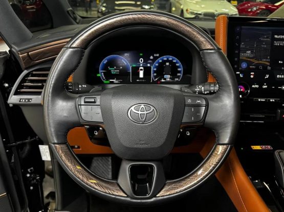 Toyota Alphard 13000 (3) (1)