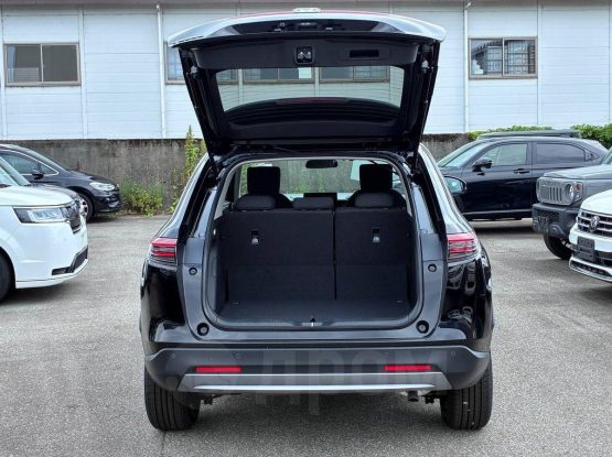 Vezel 1 (20)